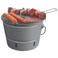 AD0138650 Coleman Charcoal Grill With Carrying Case